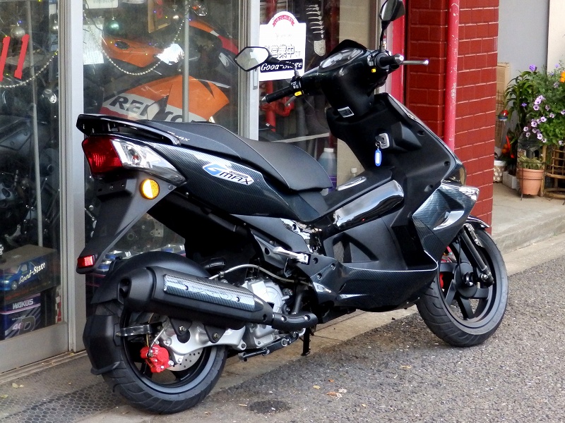 pgo g-max125 g-max220 g-max150 g-max200 PGO G-MAX